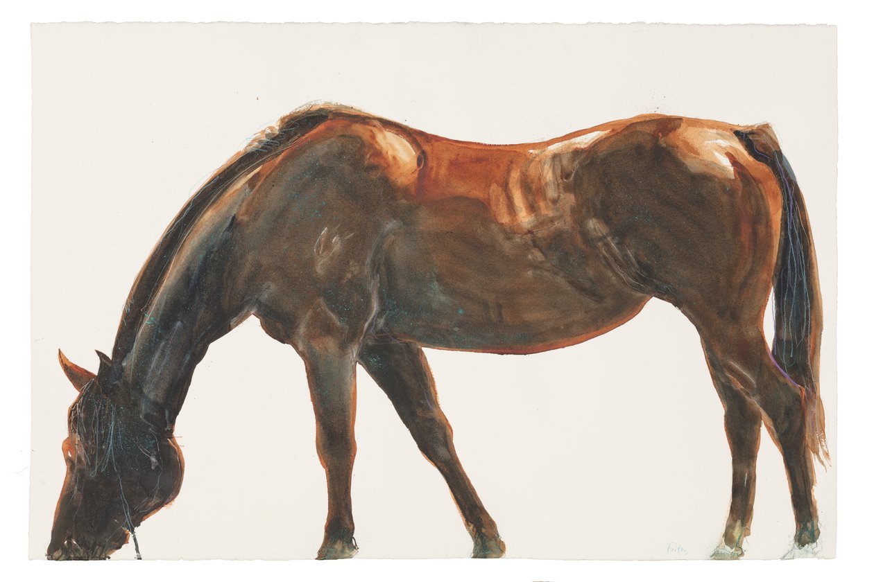 İsimsiz, 2018 (kağıt üzeri suluboya) by Michael Frith