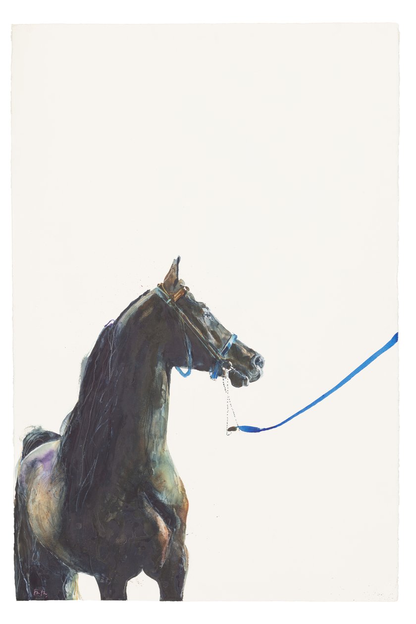 İsimsiz, 2018 (kağıt üzeri suluboya) by Michael Frith