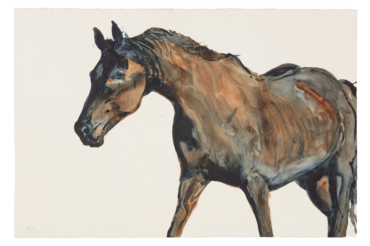 İsimsiz, 2018 (kağıt üzeri suluboya) by Michael Frith