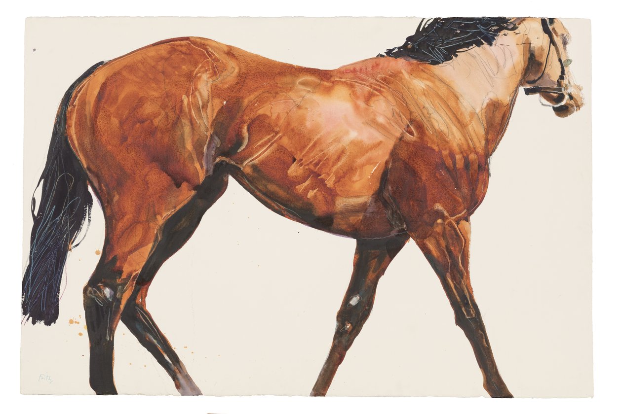İsimsiz, 2018 (kağıt üzeri suluboya) by Michael Frith