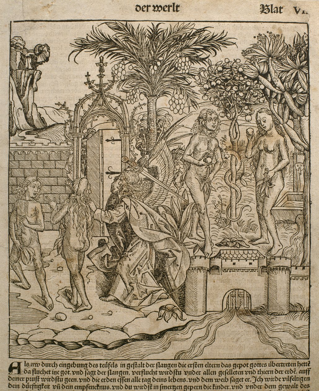 Adem ve Havva, Hartmann Schedel (1440-1514) tarafından Nürnberg