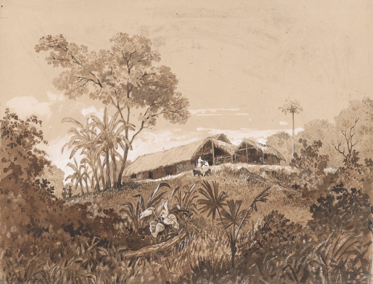 Kulübe, Tamana Dağı by Michel Jean Cazabon