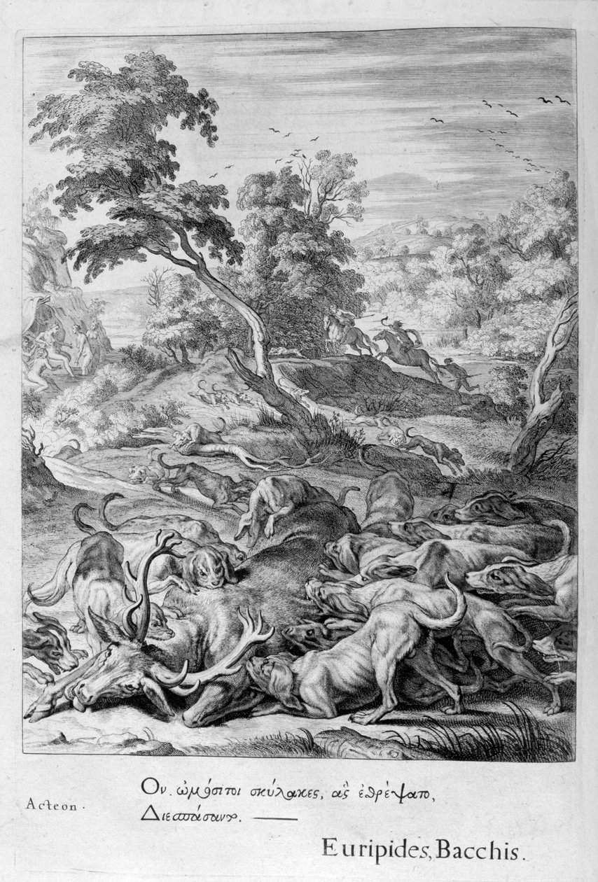 Actaeon bir geyiğe dönüştü ve köpekleri tarafından yutuldu, 1655 by Michel de Marolles