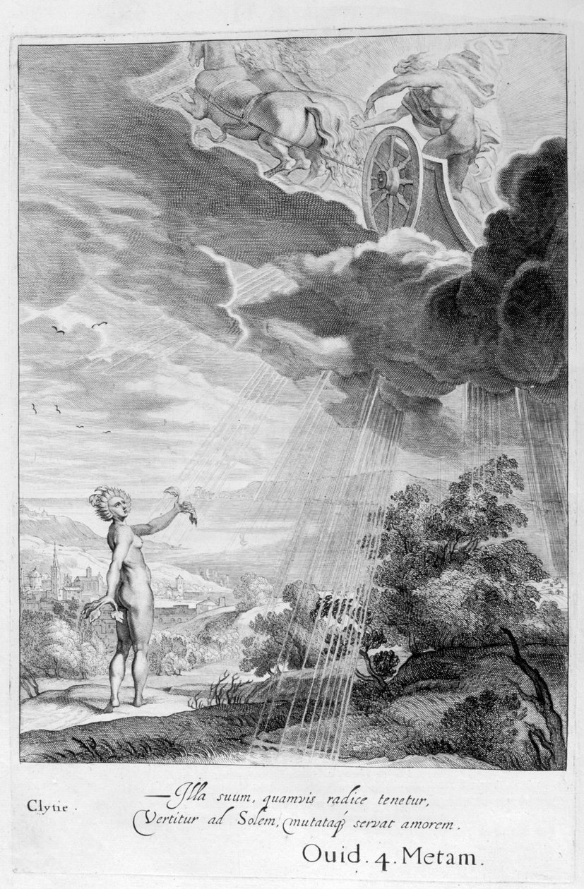 Ayçiçeğine dönüşen Clytie, 1655 by Michel de Marolles