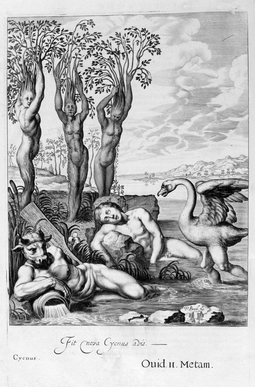 Cygnus kuğuya, Phaeton kardeşlerin kavağa dönüşmesi, 1655 by Michel de Marolles