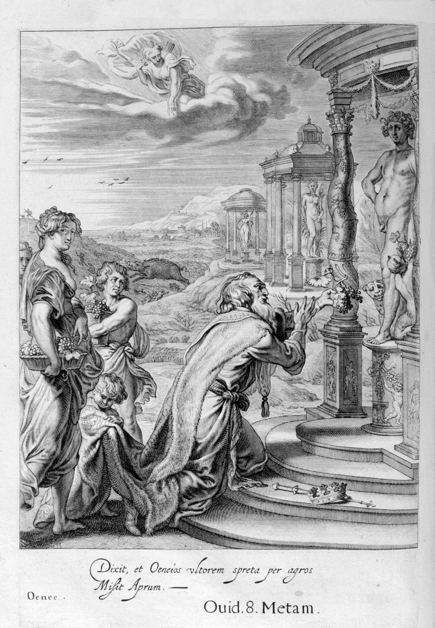 Calydon Kralı Oeneus, Diana