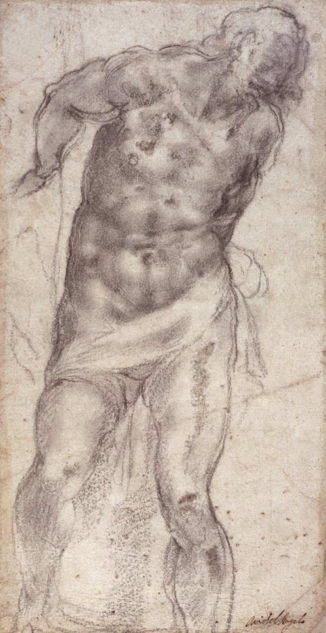 Şekil Çalışması by Michelangelo Buonarroti