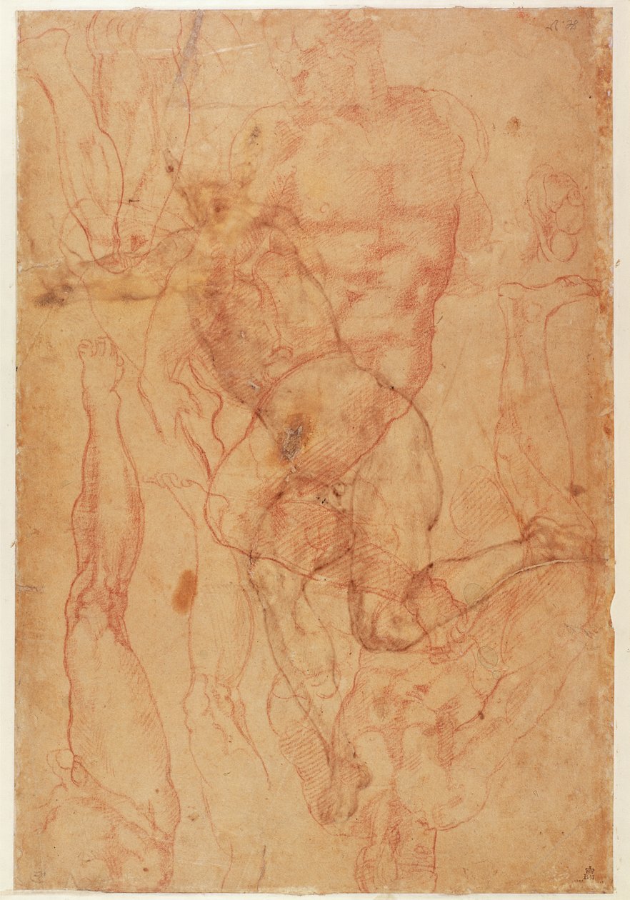 Figür Çalışması (kağıt üzerinde kırmızı tebeşir) by Michelangelo Buonarroti