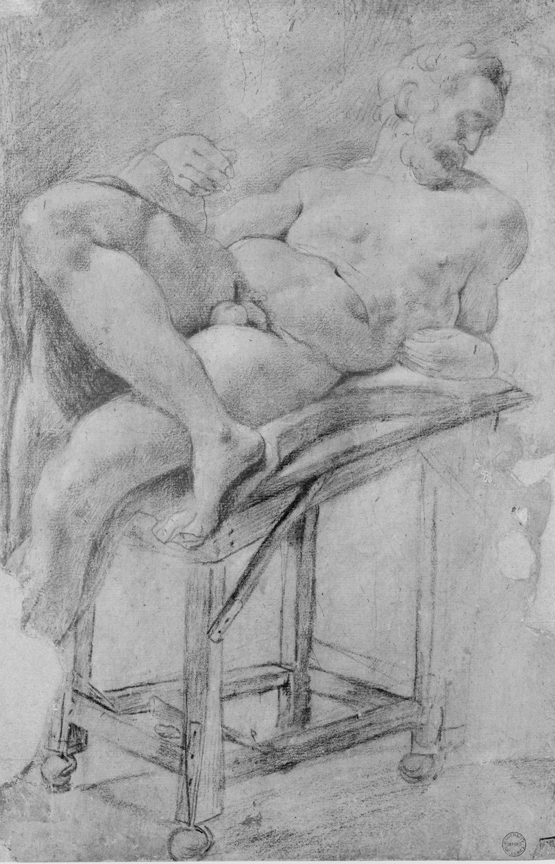 ಸಂಜೆ ಟರ್ಕಿಯ ಮಾದರಿ by Michelangelo Buonarroti