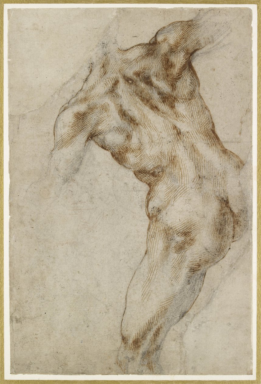 çıplak erkek gövde by Michelangelo Buonarroti
