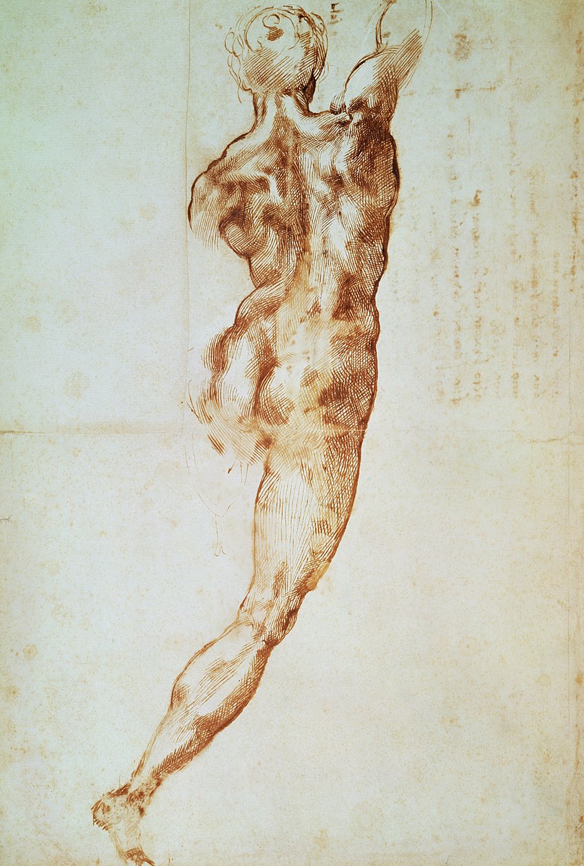 Çıplak, Cascina Savaşı için çalışma (kağıt üzerinde kırmızı tebeşir) by Michelangelo Buonarroti