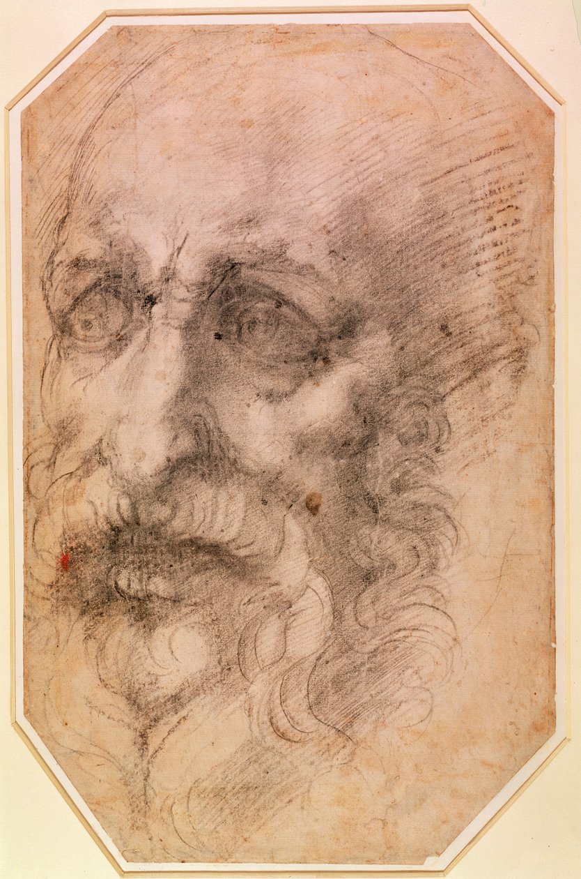 Portrait of a Bearded Man (black chalk on paper) (recto) (for verso see 191768) by Michelangelo Buonarroti