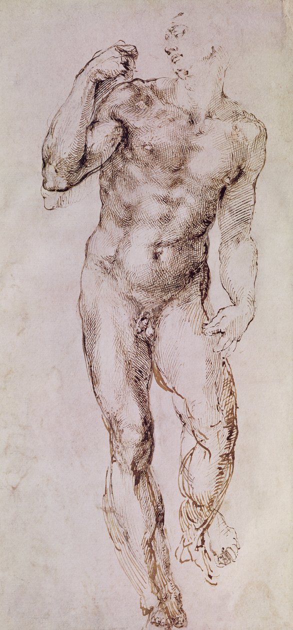 Sketch of David with his Sling, 1503-4  by Michelangelo Buonarroti