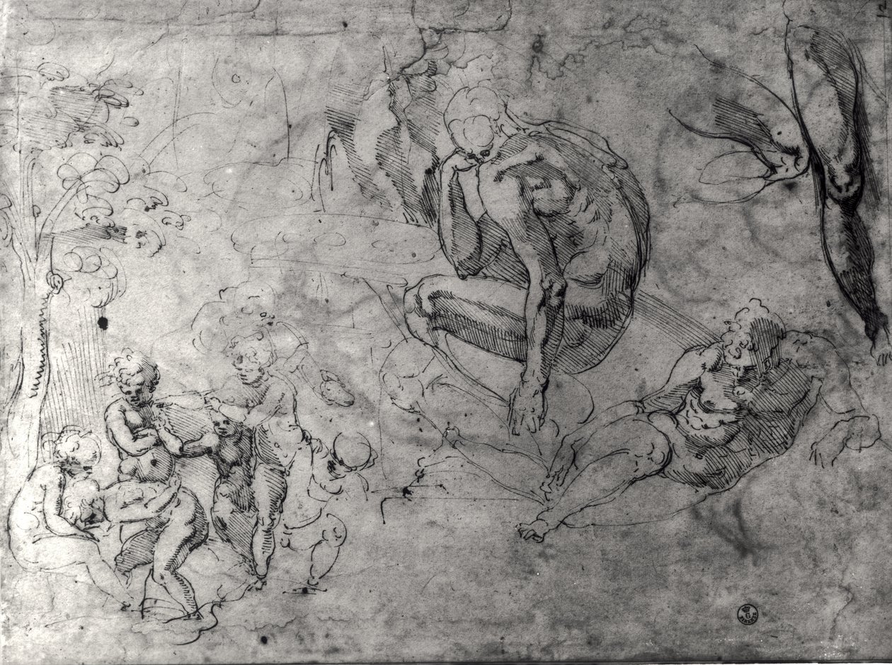 Rakamlar için çalışmalar by Michelangelo Buonarroti