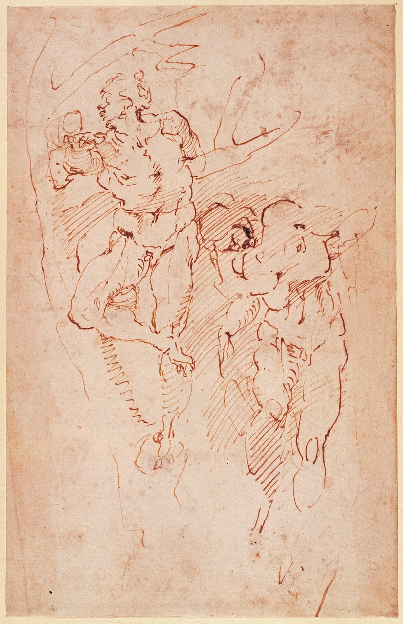 Çıplak Erkek Çalışmaları by Michelangelo Buonarroti
