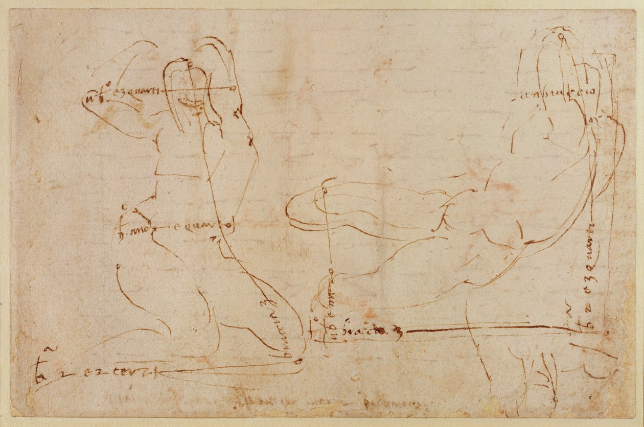 Nehir Tanrısı için Çalışmak by Michelangelo Buonarroti