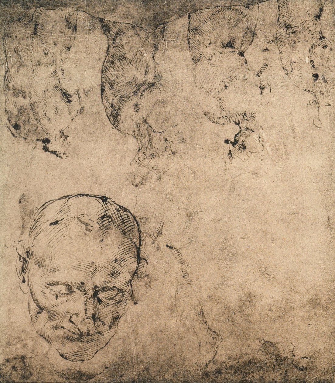 Bir kafa için çalışma; Michelangelo