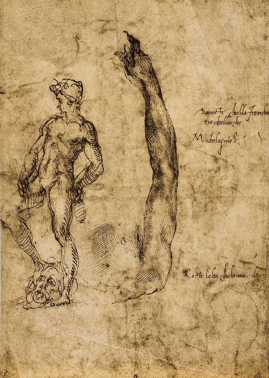 Davut heykeli için çalışma; Michelangelo