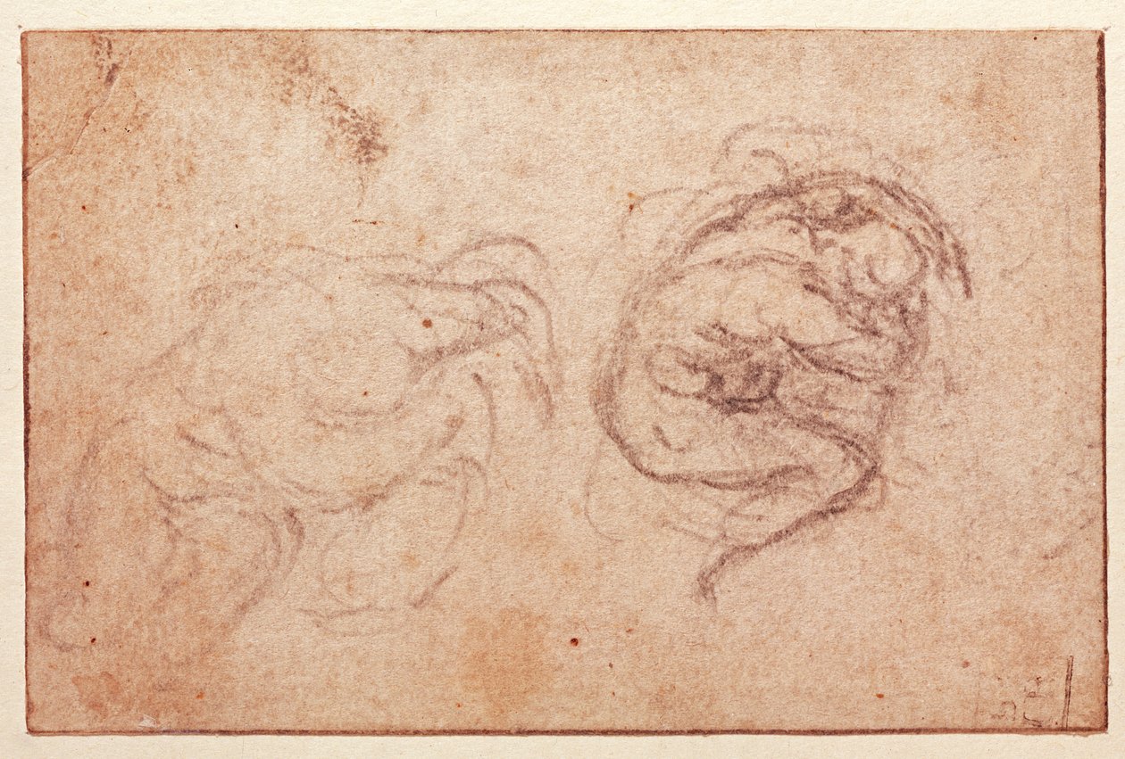 Study of a Crouching Figure (black chalk on paper) (recto) by Michelangelo Buonarroti
