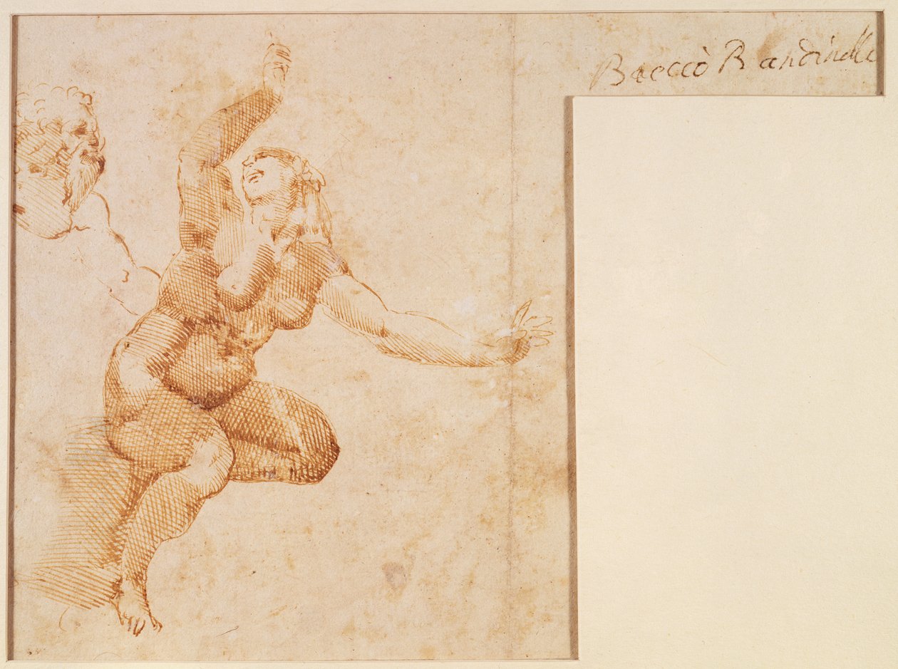 Çıplak Kadın Çalışması by Michelangelo Buonarroti