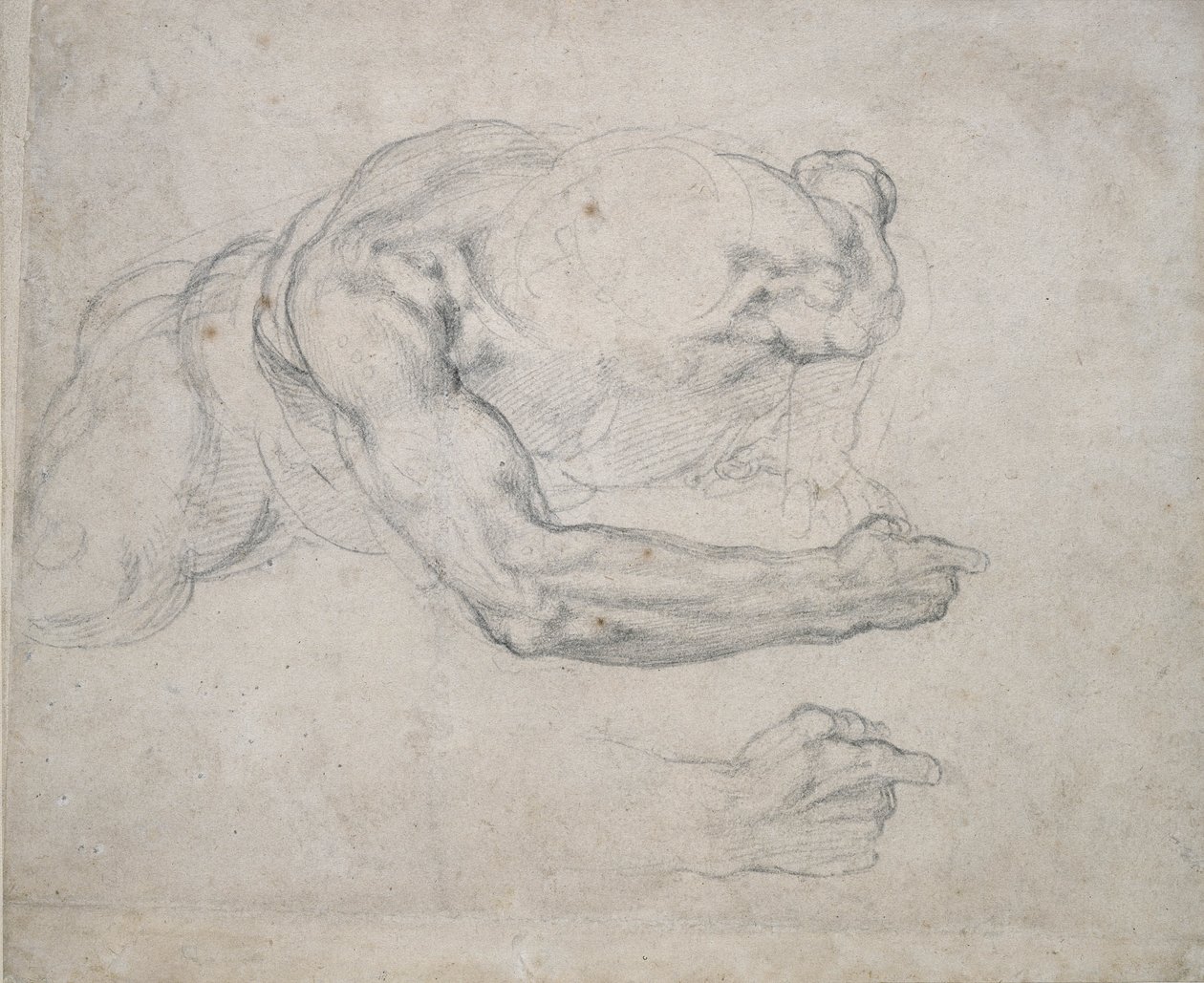 Yerden Yükselen Bir Adamın İncelenmesi (kirli beyaz kağıt üzerine siyah tebeşir) by Michelangelo Buonarroti