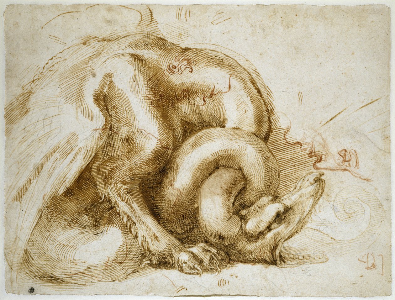 Kanatlı Canavar Çalışması, c.1525 (kağıt üzerinde kırmızı ve siyah tebeşir) by Michelangelo Buonarroti