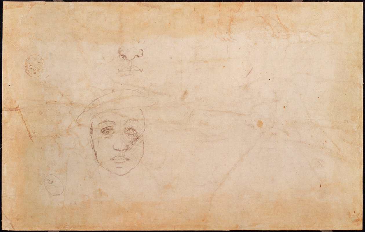 Bir erkek kafasının incelenmesi (verso) by Michelangelo Buonarroti