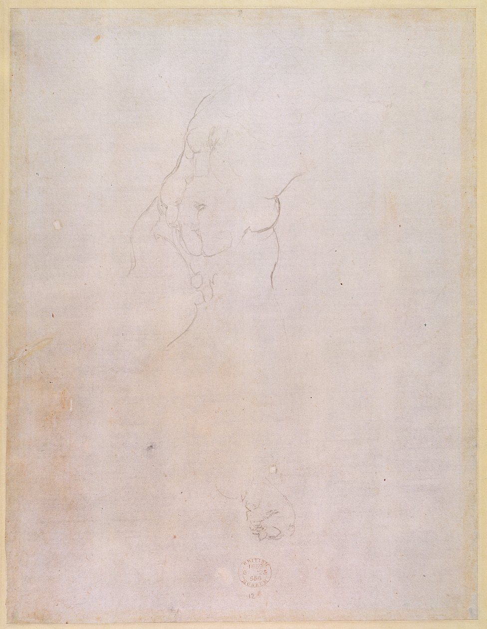 Bir erkek gövdesinin incelenmesi (verso) (rekto için bkz. 192512) by Michelangelo Buonarroti