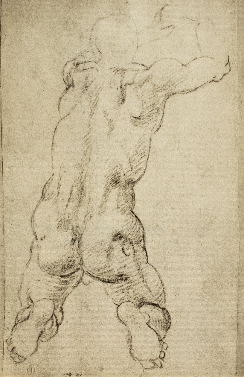 Erkeksi bir figürün incelenmesi: Michelangelo