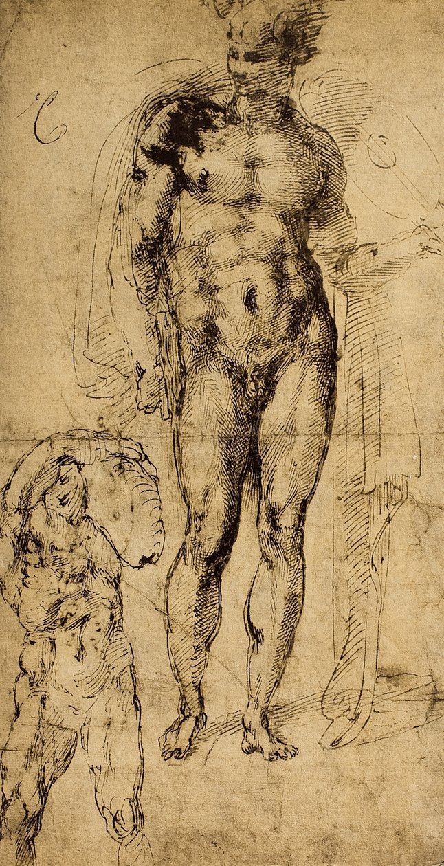 Çıplakların incelenmesi; Michelangelo