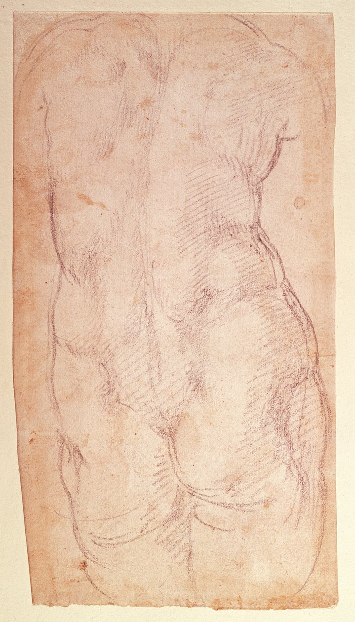 Çıplak bir figürün arkasının incelenmesi by Michelangelo Buonarroti
