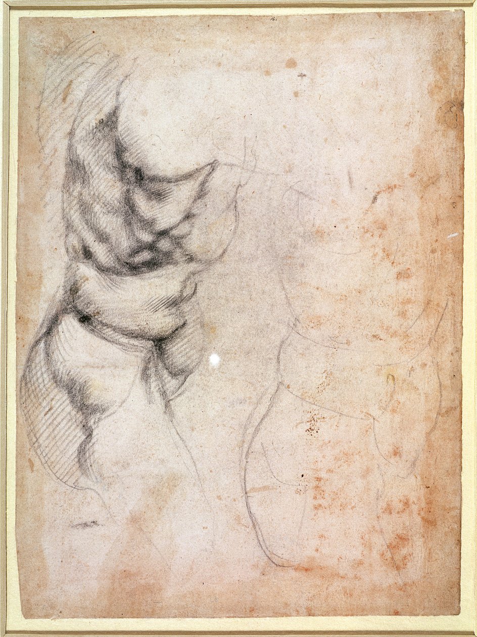 Study of torso and buttock (charcoal on paper) (recto) by Michelangelo Buonarroti