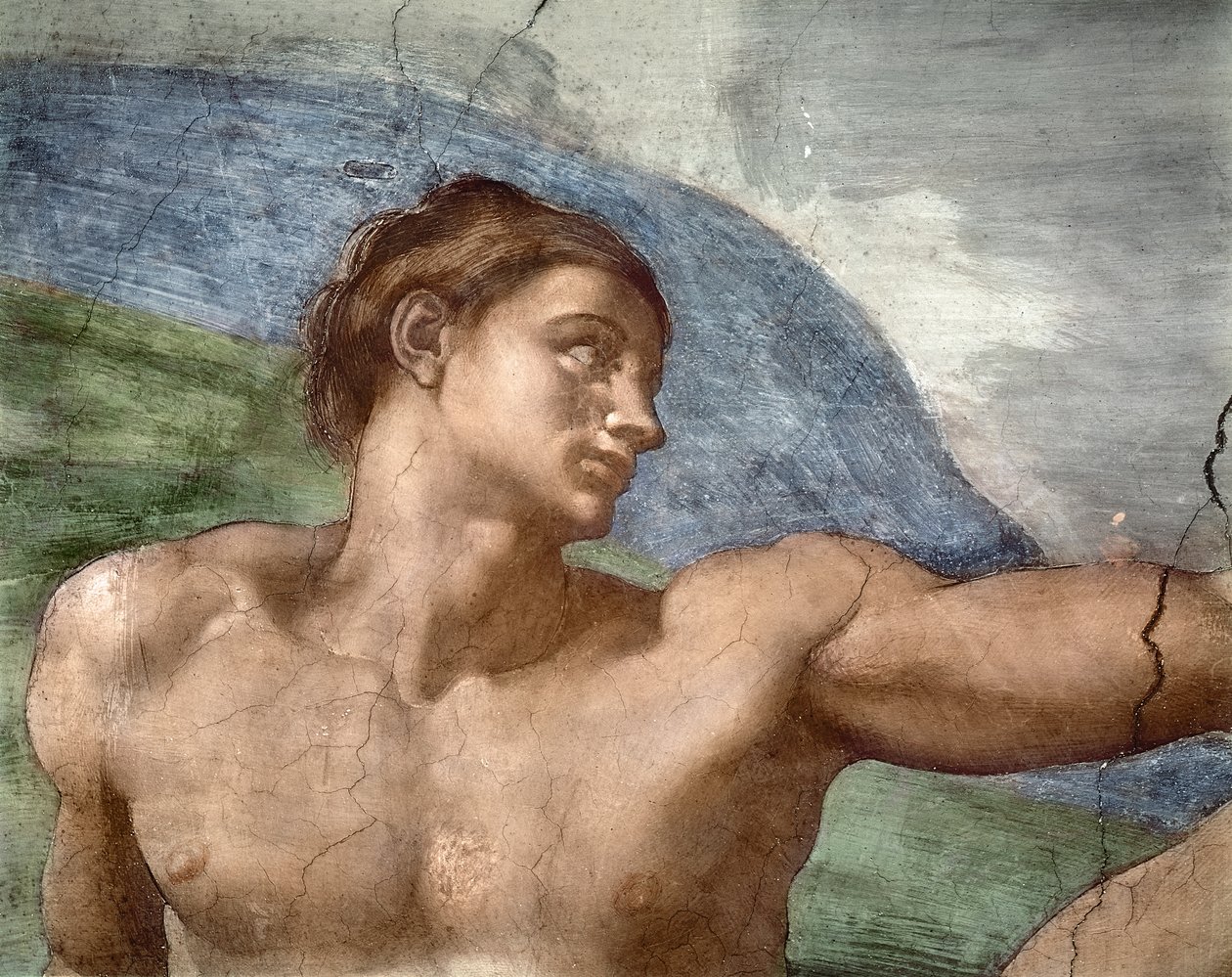 Adem'in Yaratılışı, Adem'in başının detayı, 1508-12 by Michelangelo Buonarroti