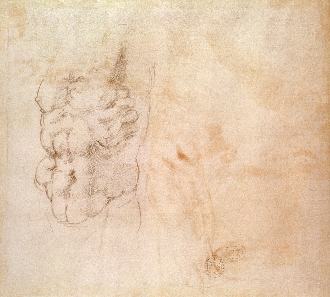 Gövde Çalışması (kağıt üzerinde kırmızı ve siyah tebeşir) by Michelangelo Buonarroti