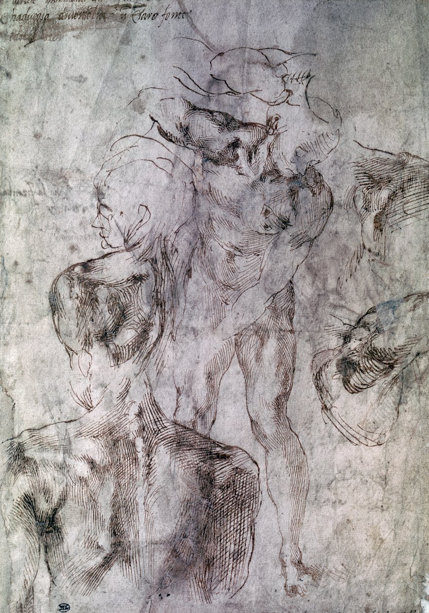 Çeşitli çalışmalar, Study for David