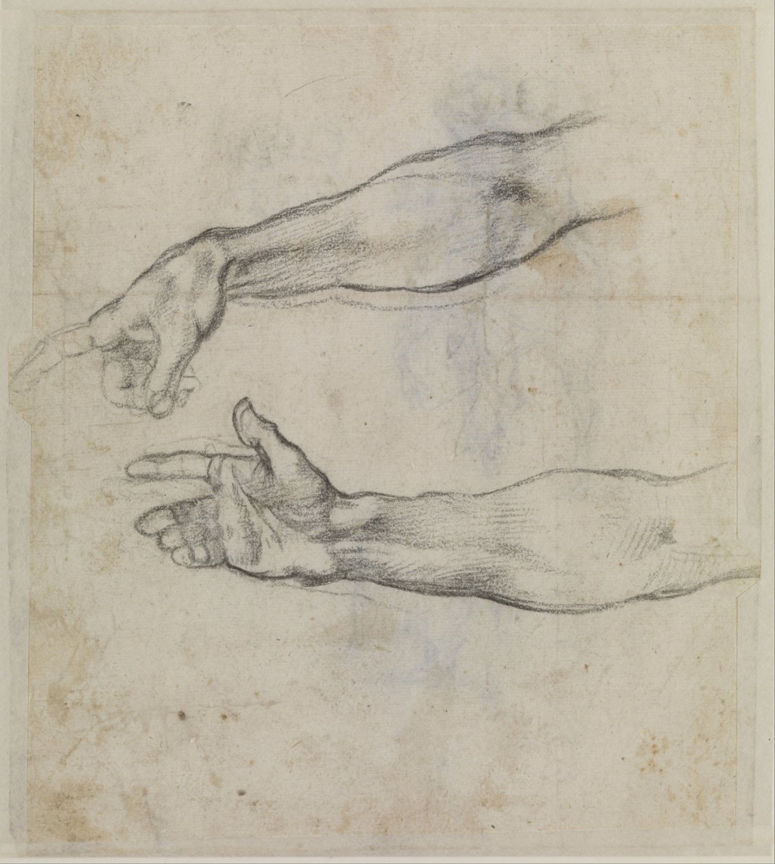  by Michelangelo