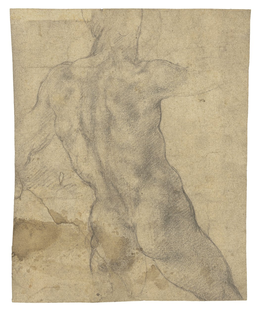 Arkadan görülen bir erkek çıplak by Michelangelo Buonarroti