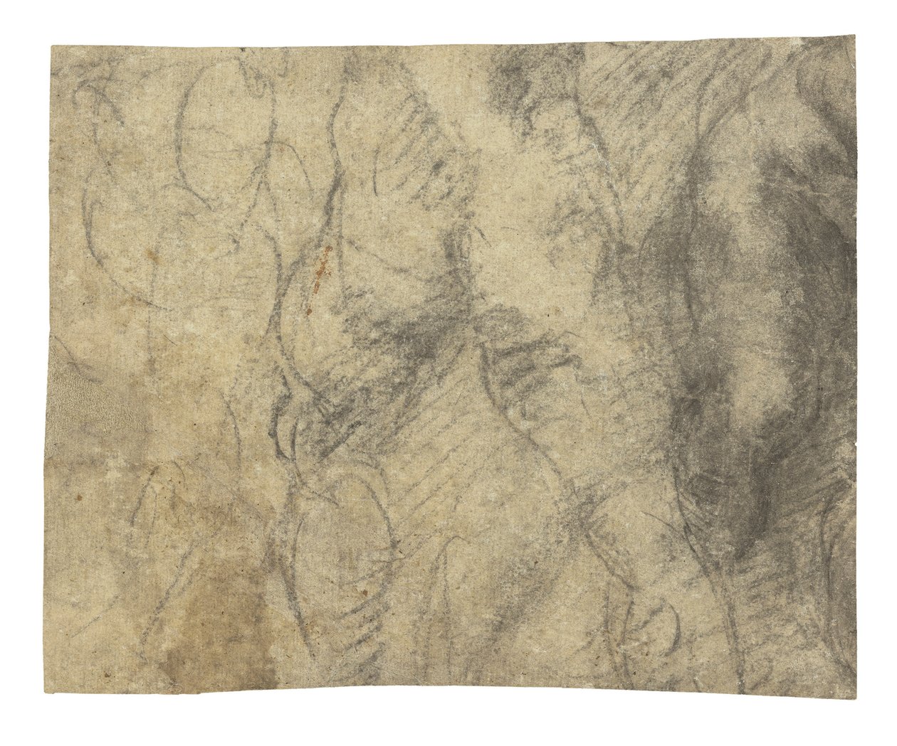 Arkadan görülen bir erkek çıplak by Michelangelo Buonarroti