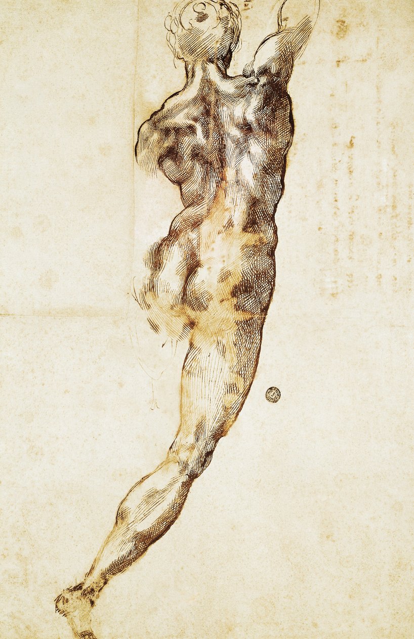 Arkadan görülen çıplak bir erkek, Michelangelo