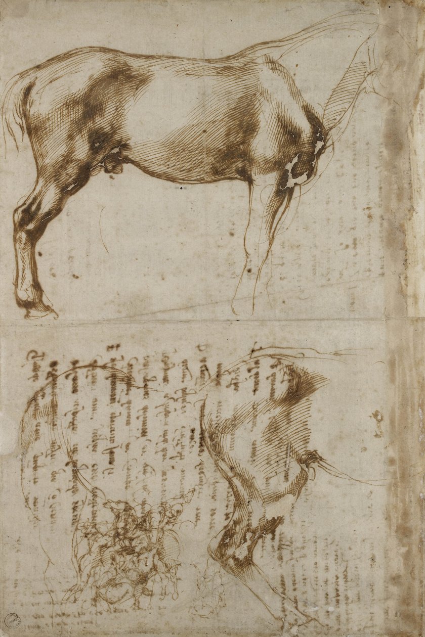 Anatomik At çalışması, 1504 by Michelangelo Buonarroti