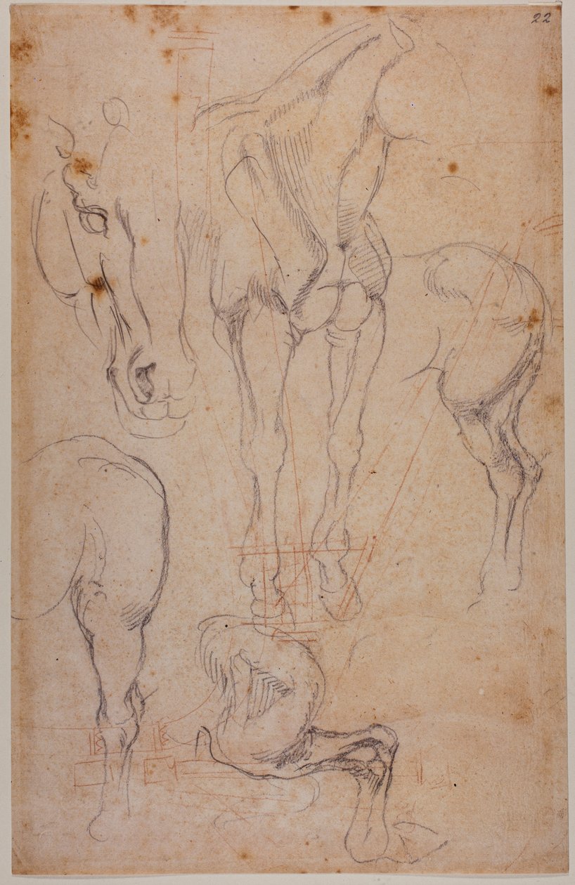  by Michelangelo Buonarroti