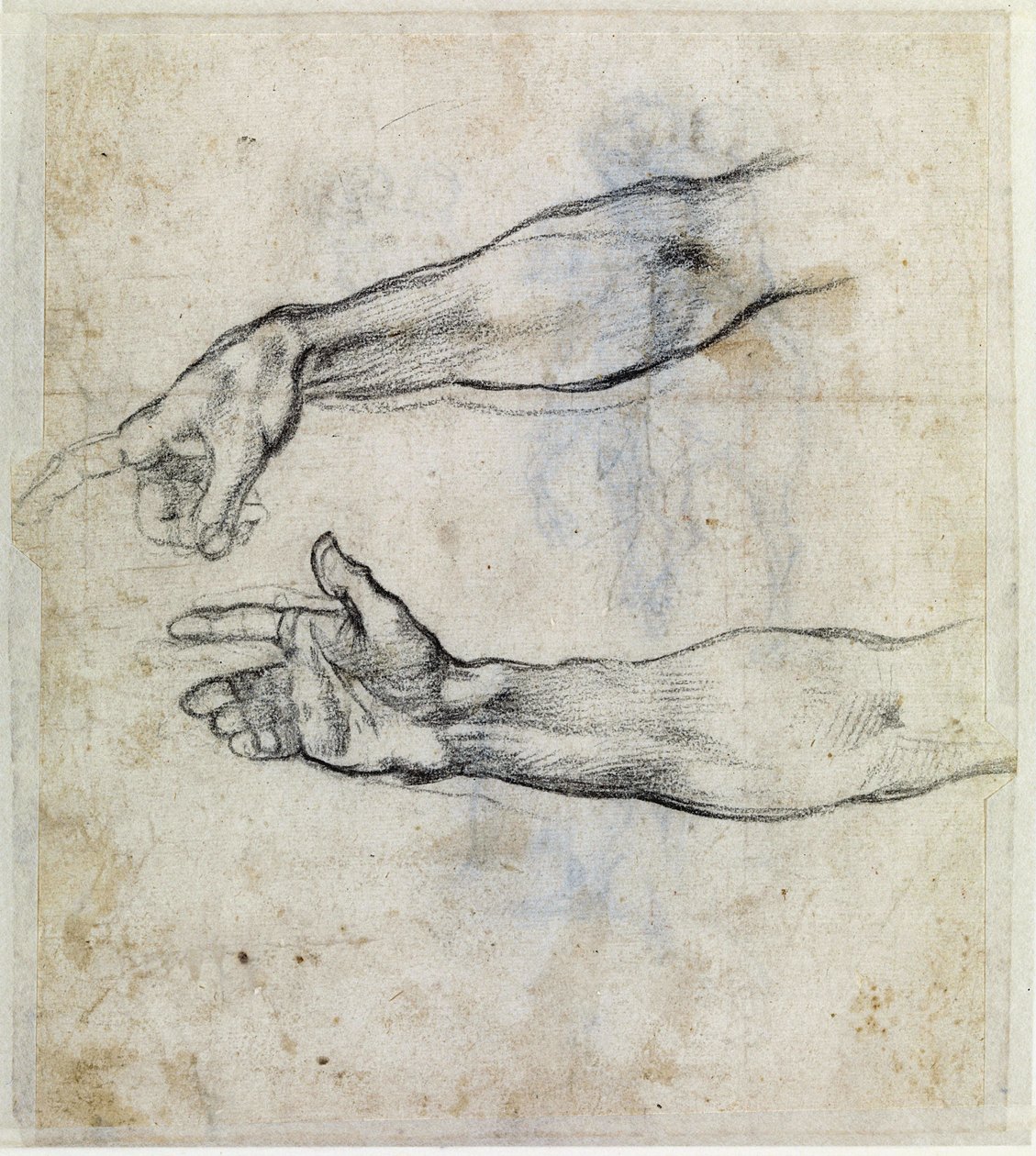  by Michelangelo Buonarroti