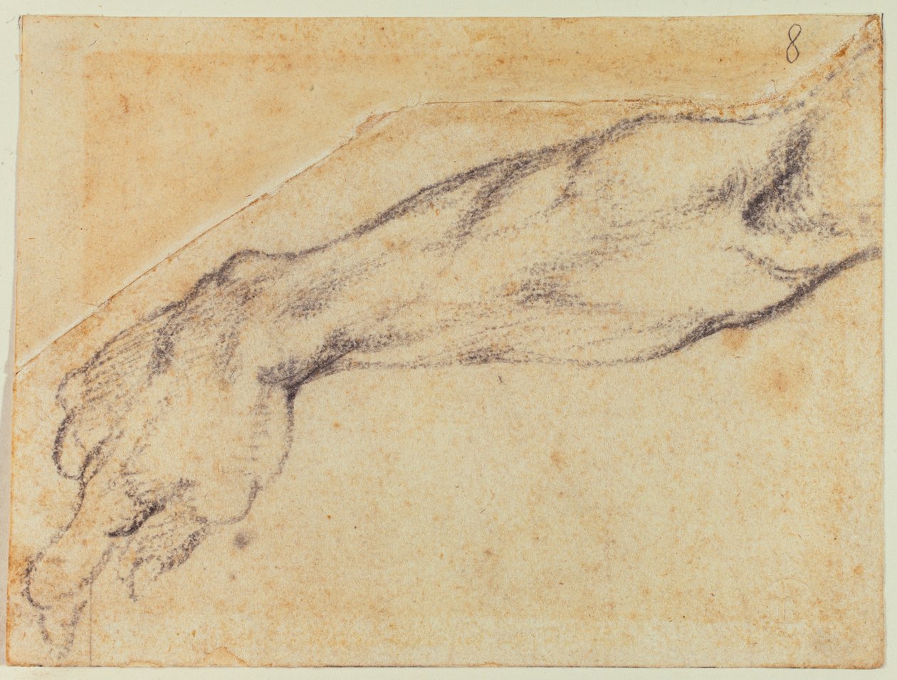  by Michelangelo Buonarroti
