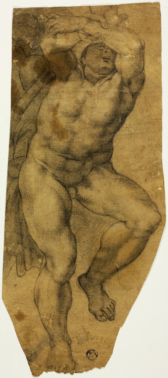 artan erkek çıplak by Michelangelo Buonarroti