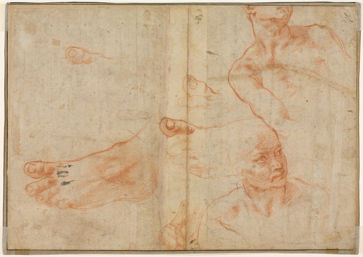 Sistine Tavanı için Figür Çalışmaları, 1510-11. by Michelangelo Buonarroti