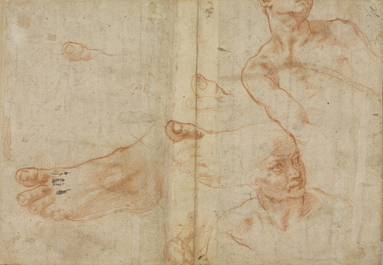 Sistine Tavanı için Figür Çalışmaları by Michelangelo Buonarroti