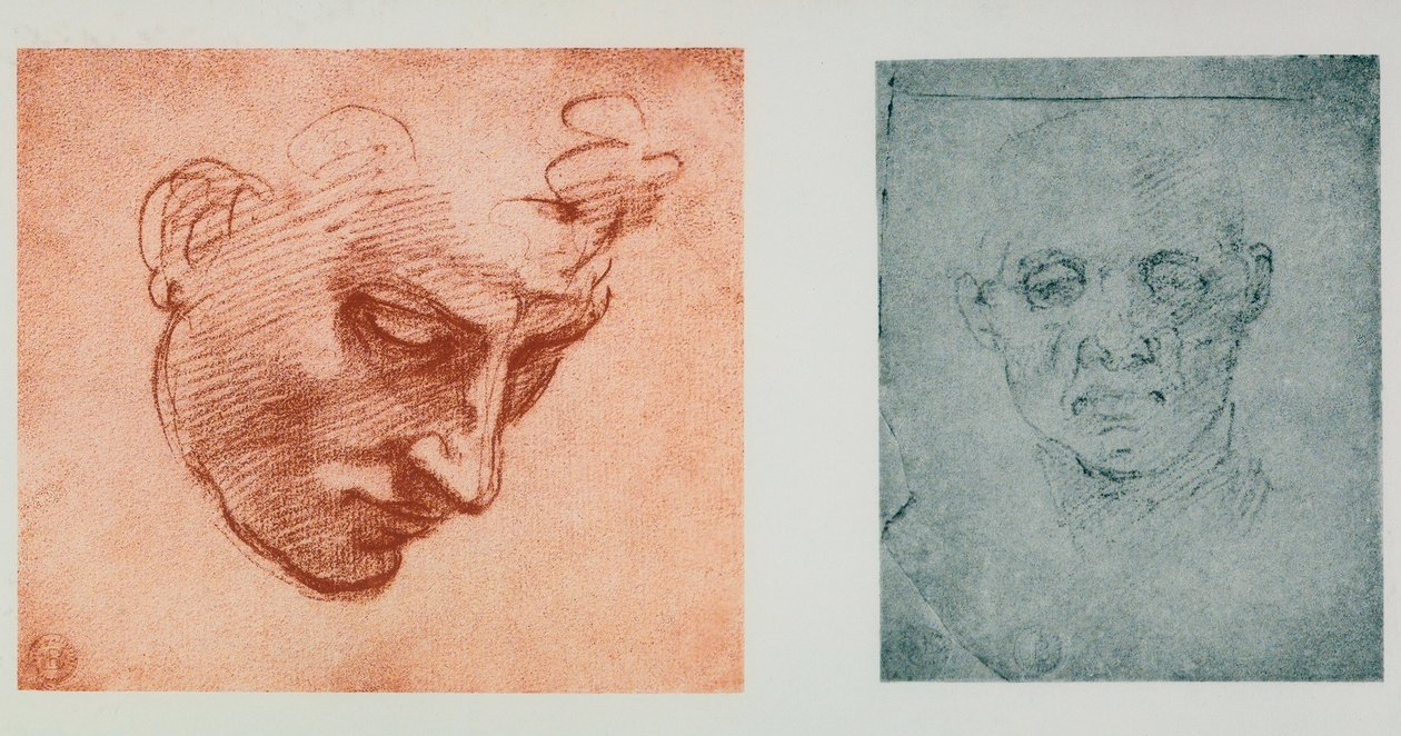 Bir yüzün önden görünümü ve bir profilden; Michelangelo