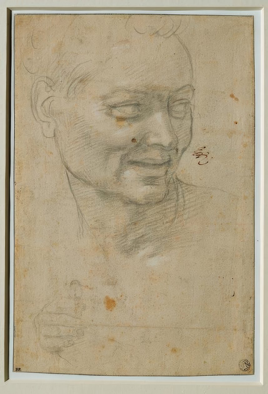 Ignudo