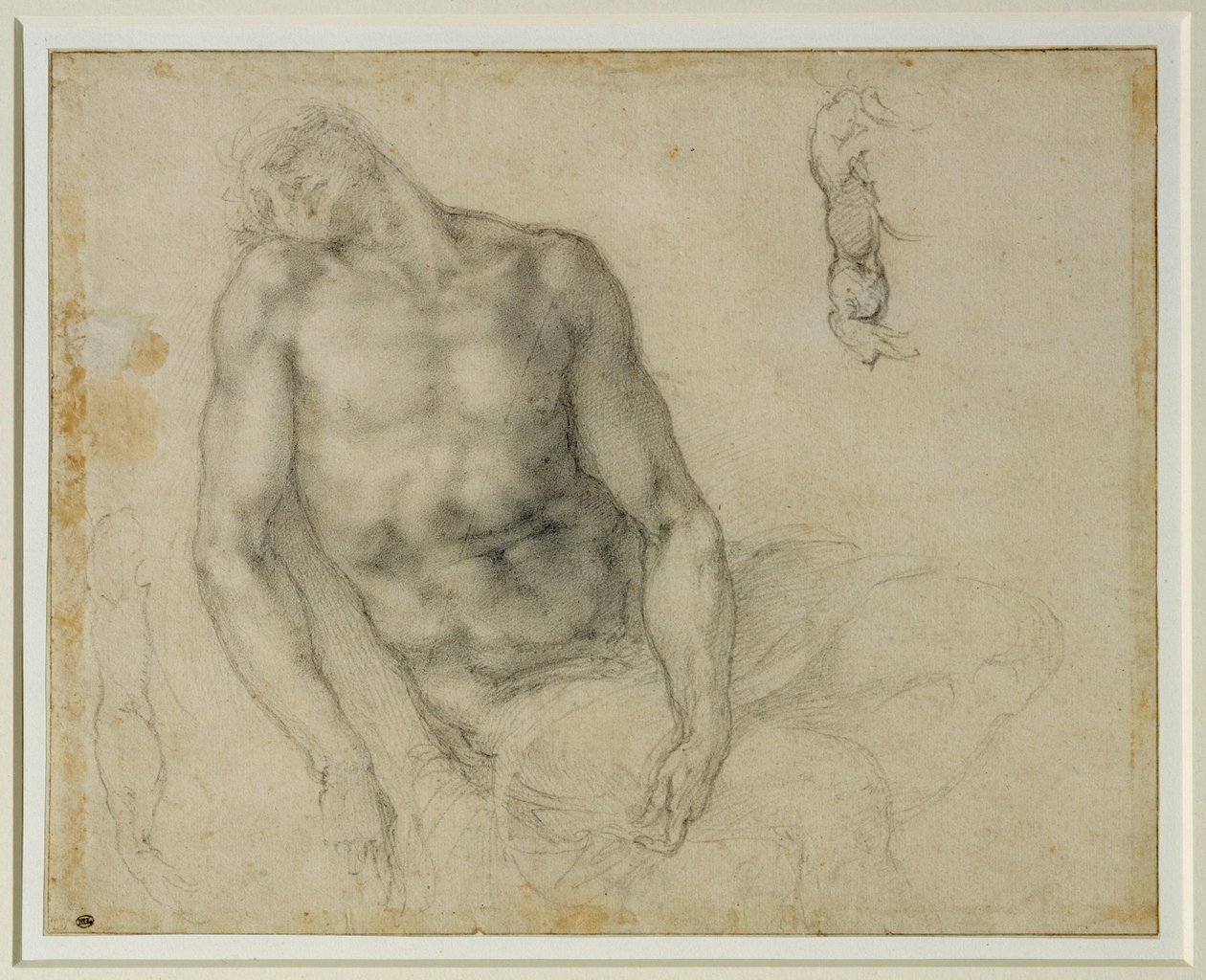  by Michelangelo Buonarroti