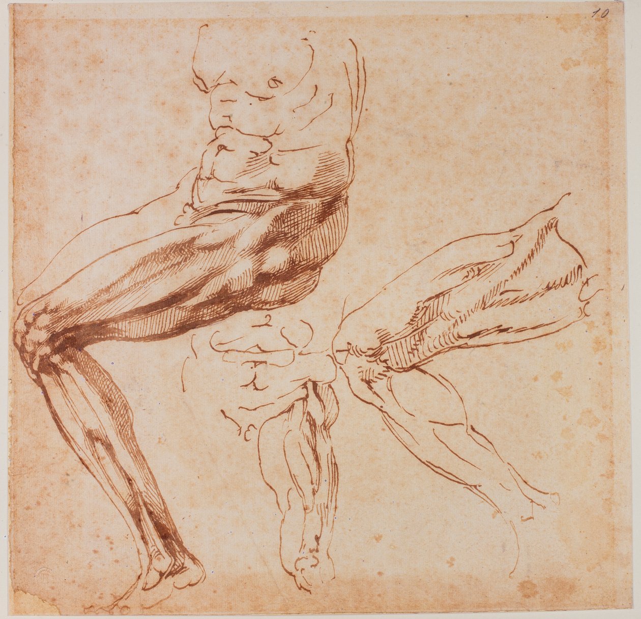  by Michelangelo Buonarroti